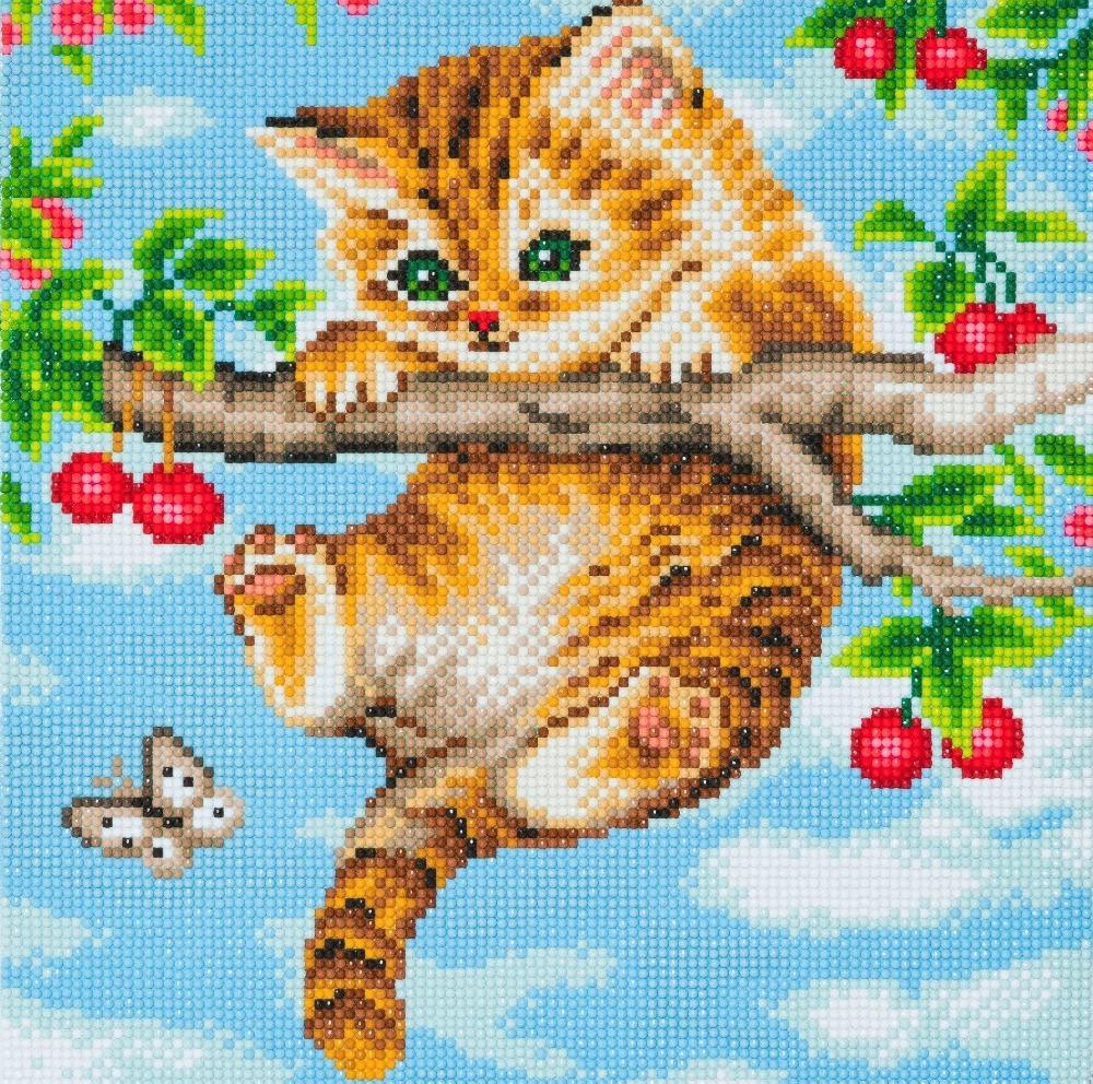 CAK-A73: "Cherry Kitten" 30 x 30cm (Medium)