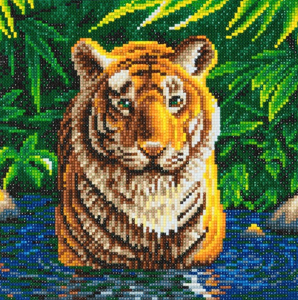 CAK-A74: "Tiger Pool" 30 x 30cm (Medium)