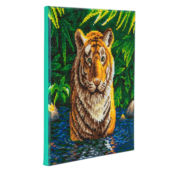 CAK-A74: "Tiger Pool" 30 x 30cm (Medium)