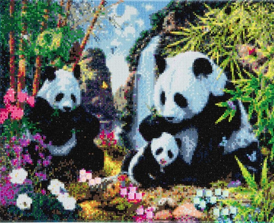 CAK-A21: "Panda Valley" Framed Crystal Art Kit, 40 x 50cm