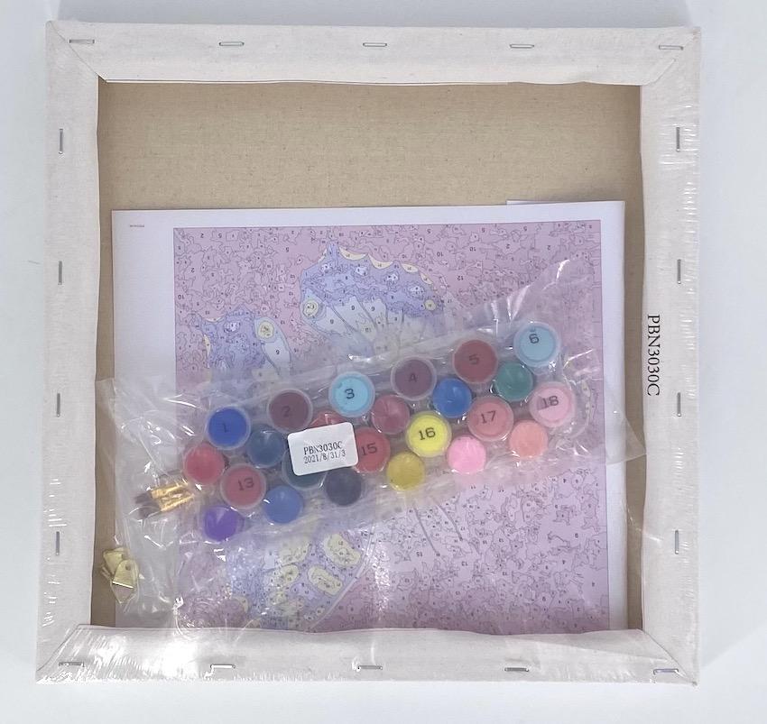 PBN3030C: "Change" Craft Buddy Paint by Numbers 30 x 30cm Framed Kit