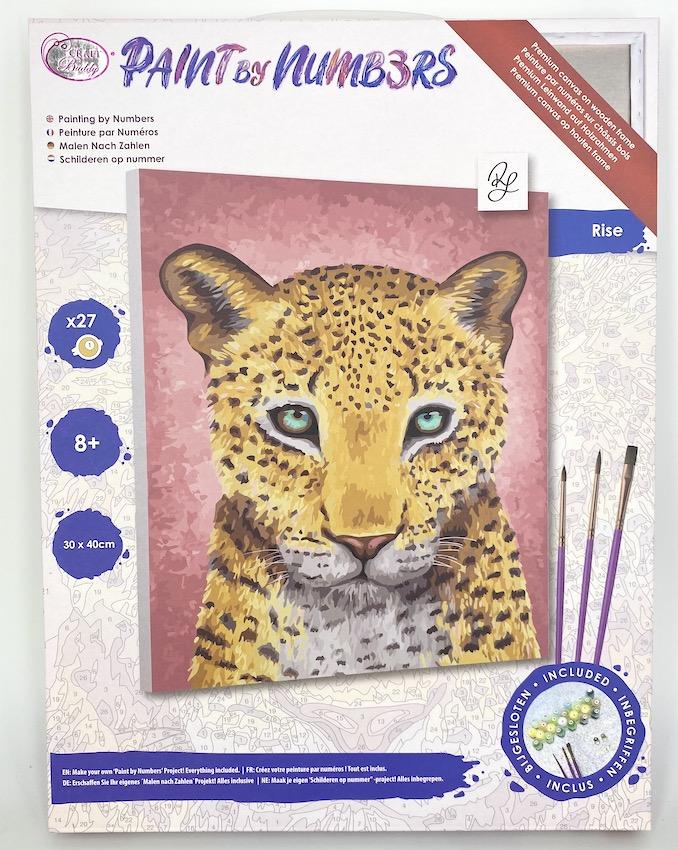 PBN3040D: "Rise" Craft Buddy Paint by Numbers 30x40cm Framed Kit