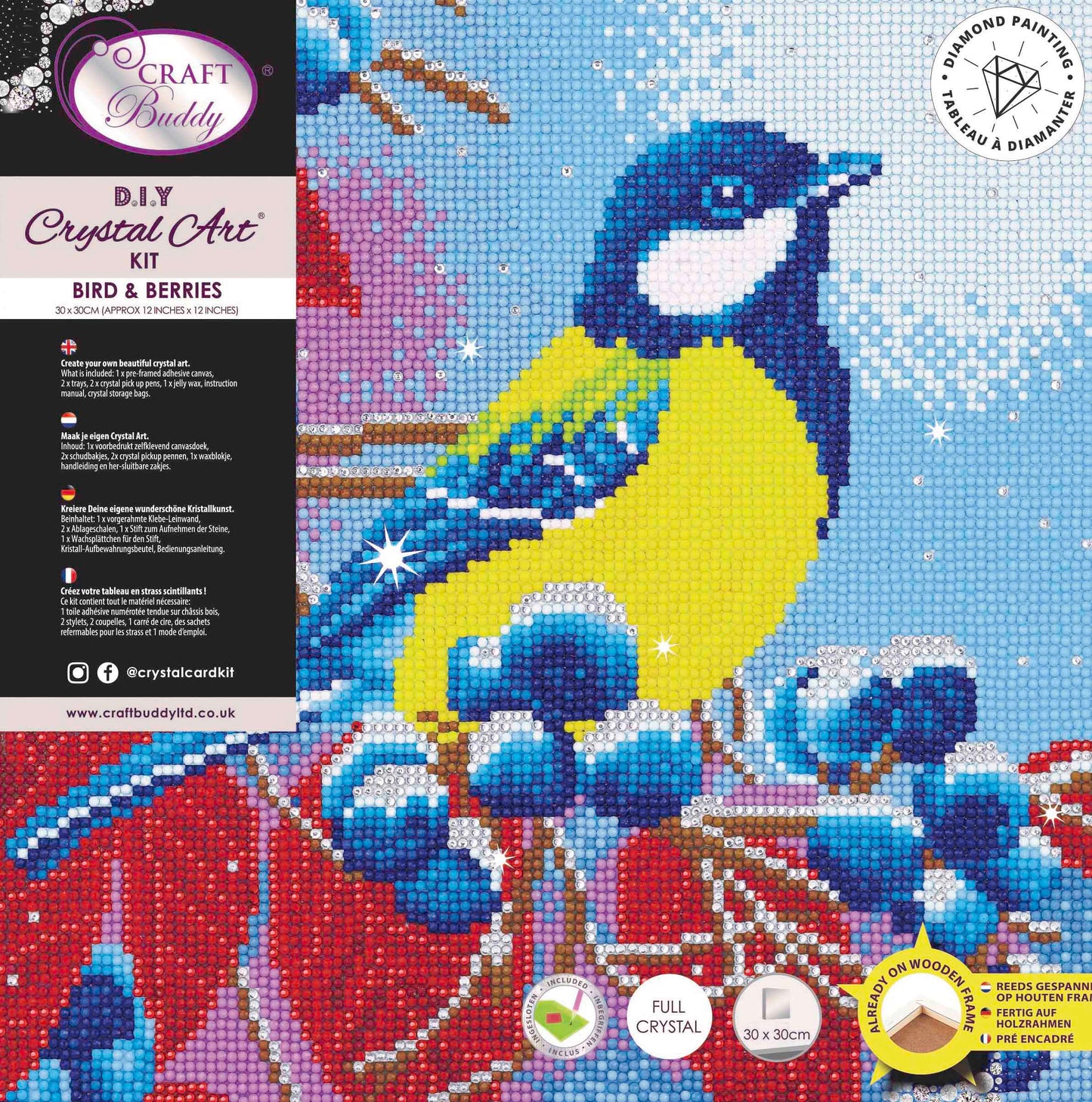 CAK-A109M: Christmas Bird, 30x30cm Crystal Art Kit