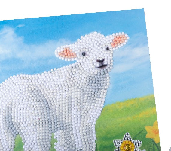 CCK-A99: "Little Lamb" 18x18cm Crystal Art Card