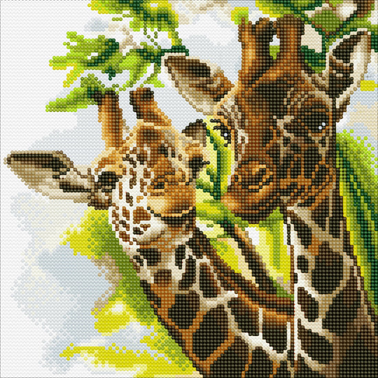 CAK-A86: "Friendly Giraffes" 30 x 30cm (Medium)