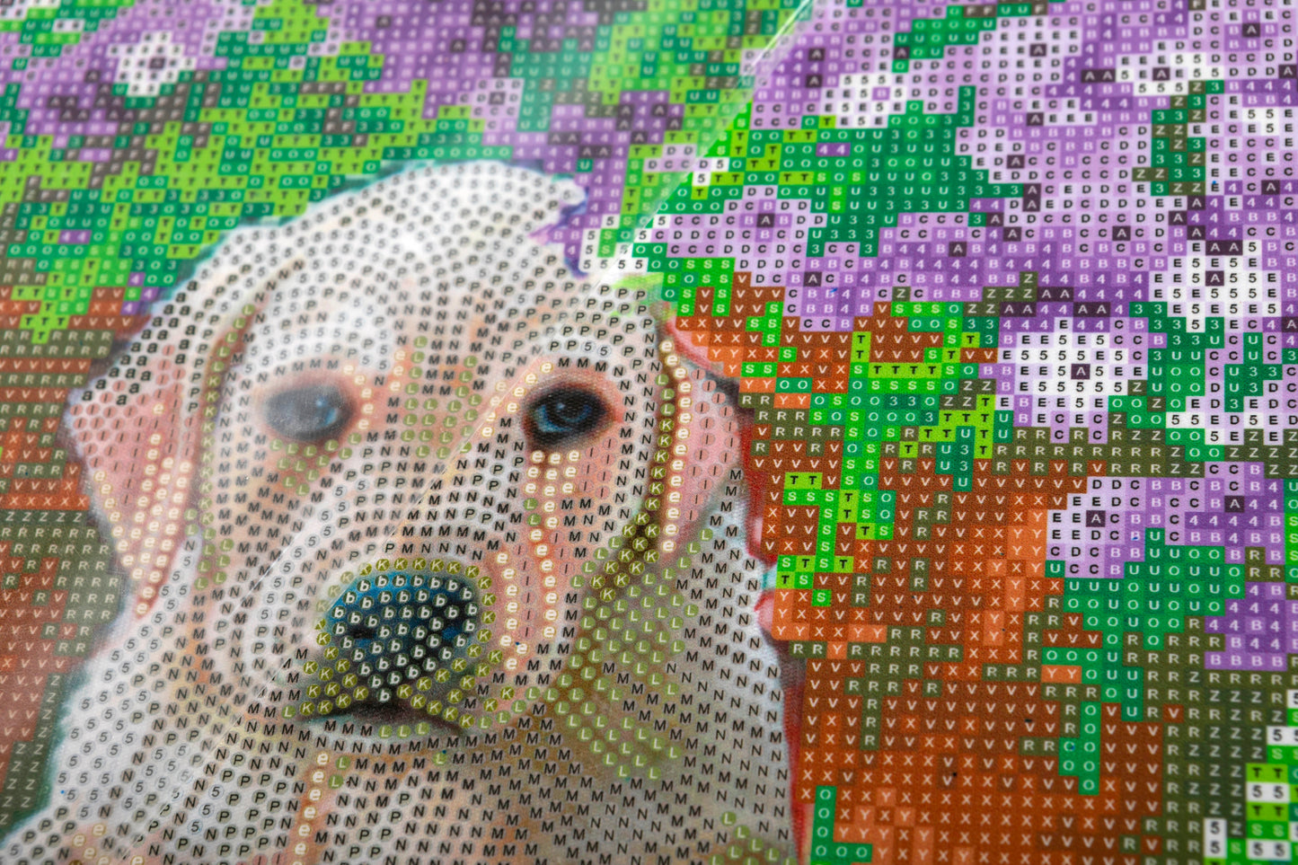 "Floral Pup" 30x30cm Crystal Art Kit