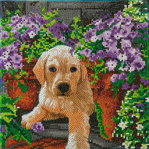 "Floral Pup" 30x30cm Crystal Art Kit