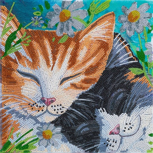 Sleepy Cats 30x30cm Crystal Art Kit - Front View